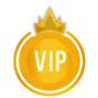 VIP Managed Services